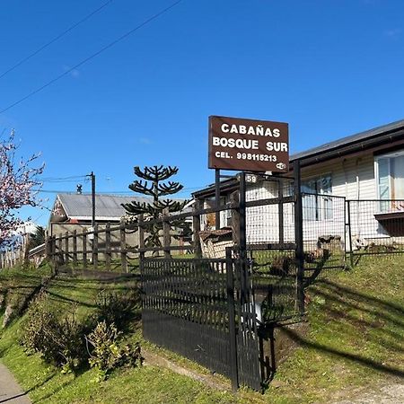 Cabanas Bosque Sur Puerto Varas Extérieur photo