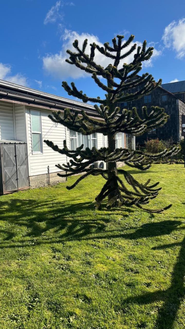 Cabanas Bosque Sur Puerto Varas Extérieur photo